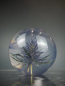 Hovedbilde Glasskule Eryngo